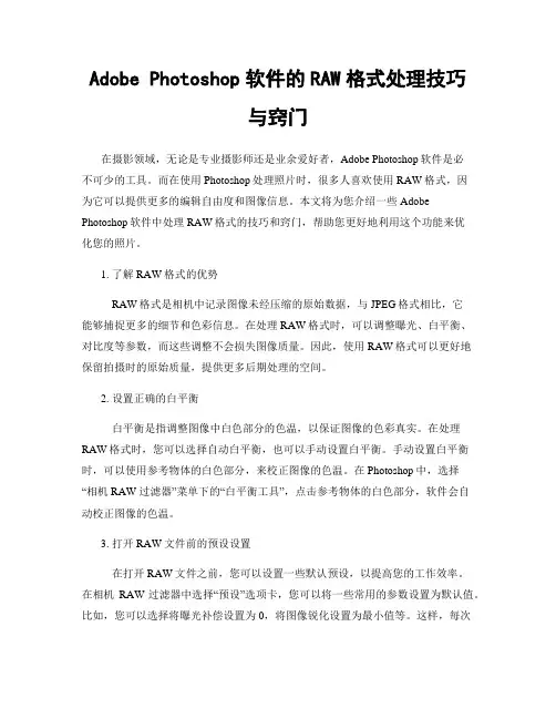 Adobe Photoshop软件的RAW格式处理技巧与窍门