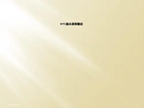 WTO基本原则概述