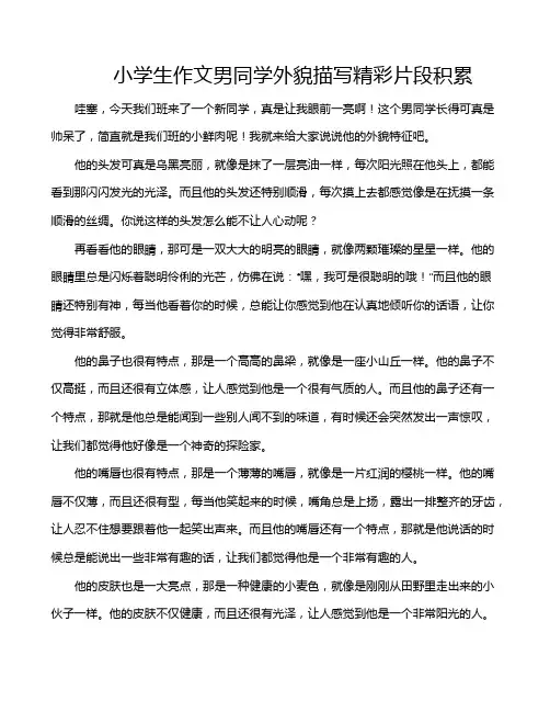 小学生作文男同学外貌描写精彩片段积累