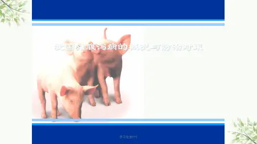 猪病毒性腹泻ppt课件