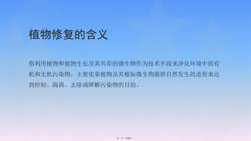 污染水体的植物修复技术