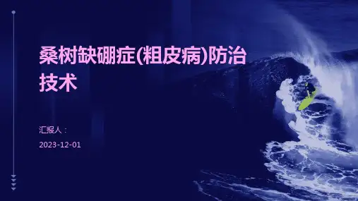 桑树缺硼症(粗皮病)防治技术