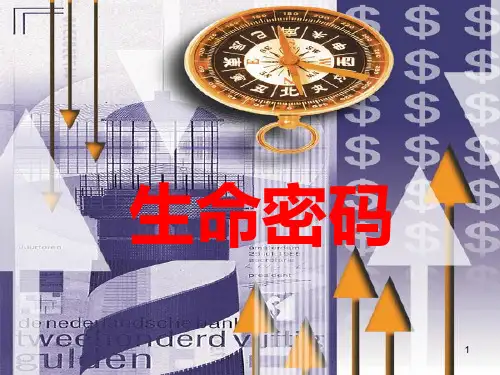 数字能量学生命密码课件