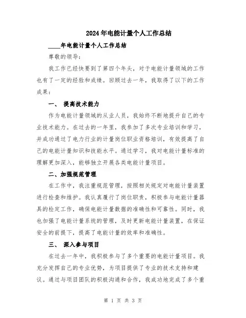 2024年电能计量个人工作总结