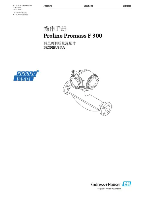 Proline Promass F 300 科里奥利质量流量计 PROFIBUS PA 操作手册说明