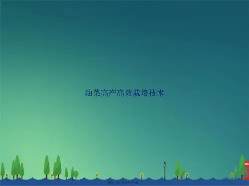 油菜高产高效栽培技术讲课文档