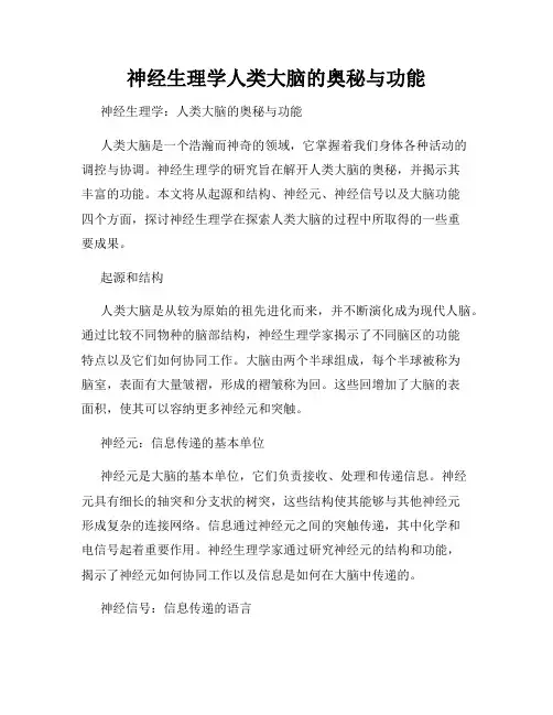 神经生理学人类大脑的奥秘与功能