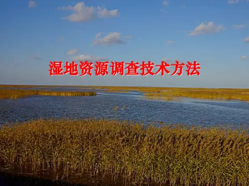 湿地资源调查技术方法