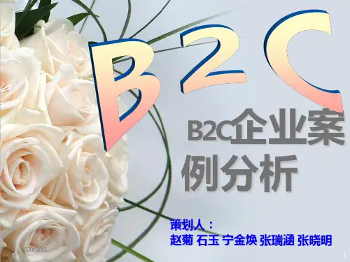 B2C案例分析——ppg-凡客-麦考林PPT课件