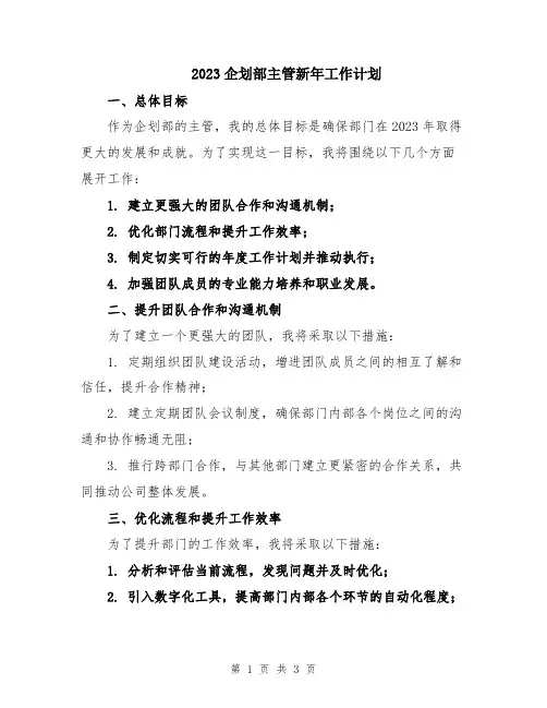 2023企划部主管新年工作计划