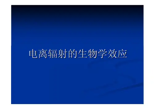 放射防护知识培训
