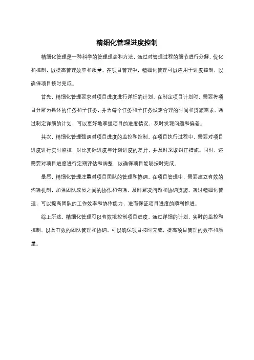 精细化管理进度控制