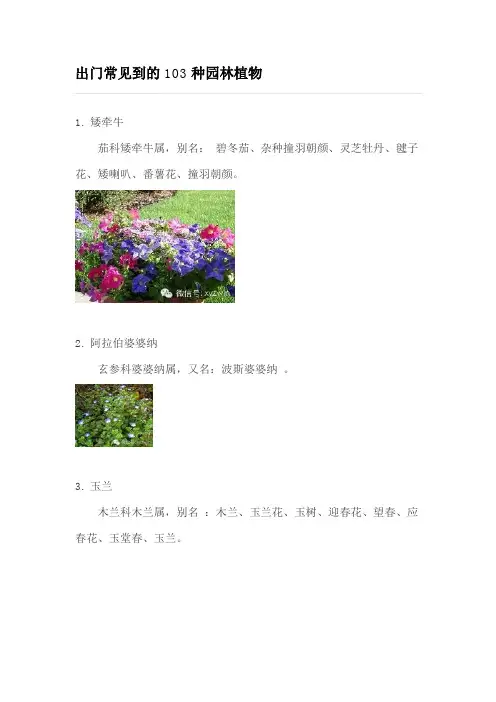 出门常见到的103种园林植物