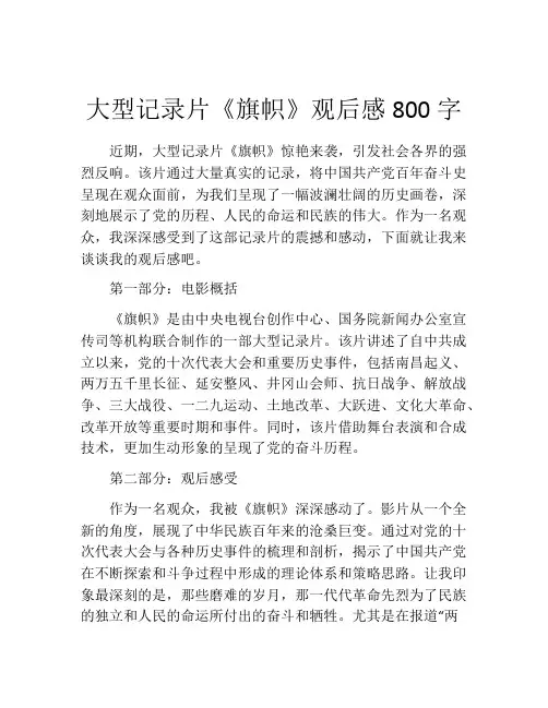 大型记录片《旗帜》观后感800字