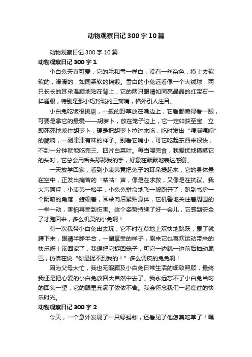 动物观察日记300字10篇