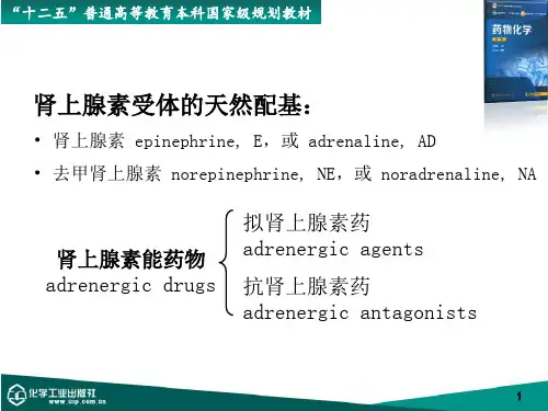 作用于肾上腺素能受体的药物
