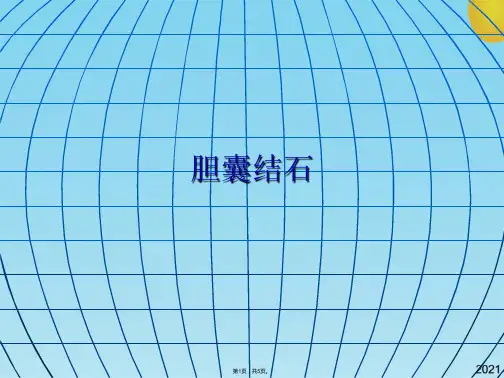 胆囊结石(共5张PPT)