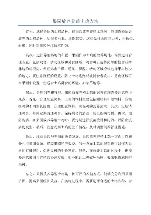 果园放养养殖土鸡方法