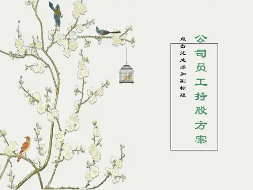 员工持股方案教材