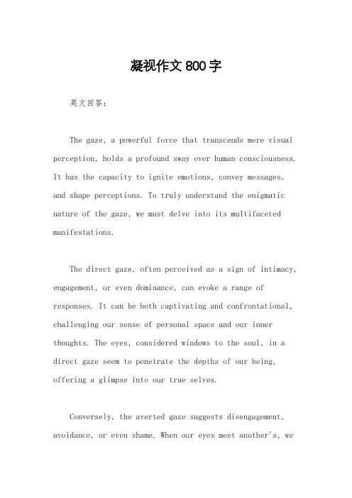 凝视作文800字