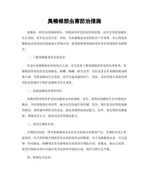 臭椿根部虫害防治措施