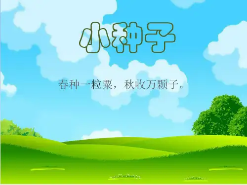 幼儿小种子ppt
