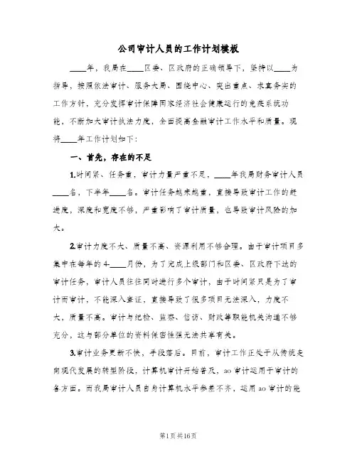 公司审计人员的工作计划模板（五篇）