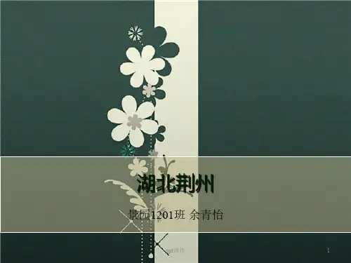 荆州城市规划介绍  ppt课件