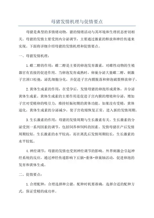 母猪发情机理与促情要点