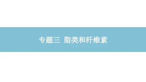 中职化学(农林牧渔类)《纤维素》课件