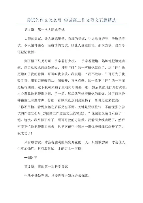 尝试的作文怎么写_尝试高二作文范文五篇精选