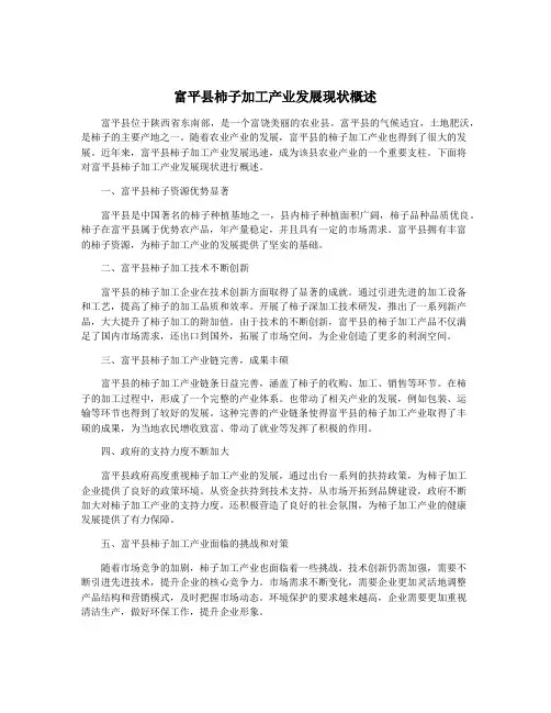 富平县柿子加工产业发展现状概述