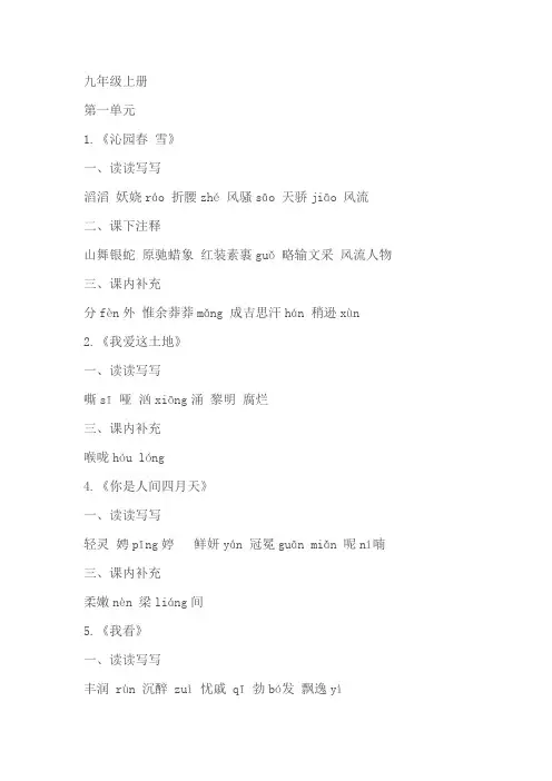 2023—2024学年统编版语文九年级上册期末专题复习：字音字形及练习(含解析)