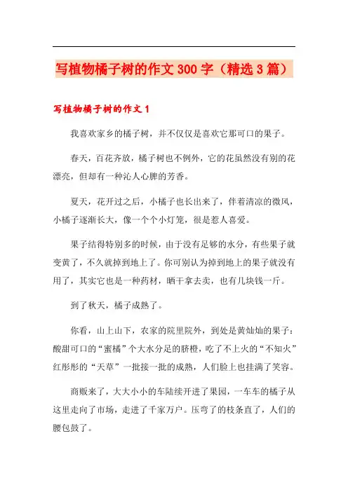 写植物橘子树的作文300字(精选3篇)