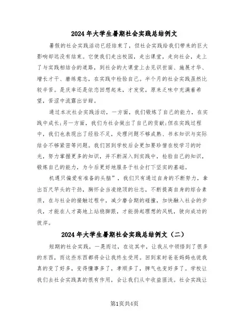 2024年大学生暑期社会实践总结例文（三篇）