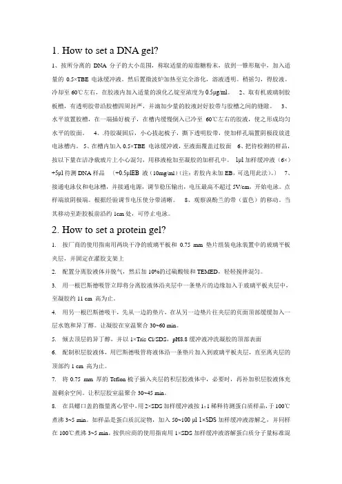 如何制作DNA胶和protein胶