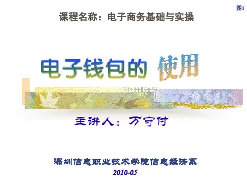 课题电子钱包在线支付实践BPPT演示文稿