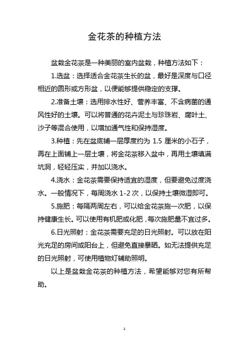 盆栽金花茶的种植方法