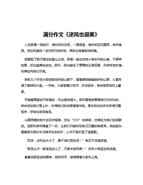 满分作文《逆风也很美》