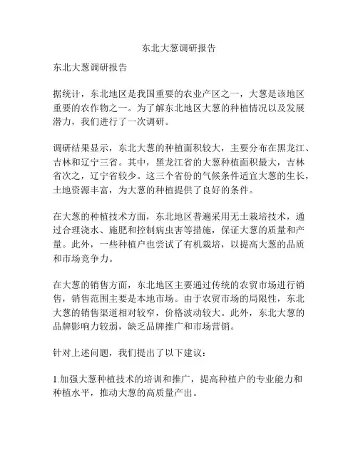东北大葱调研报告
