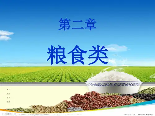 烹饪原料知识第二章(粮食类).