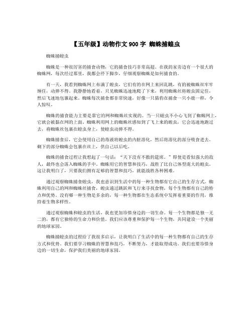 【五年级】动物作文900字 蜘蛛捕蝗虫