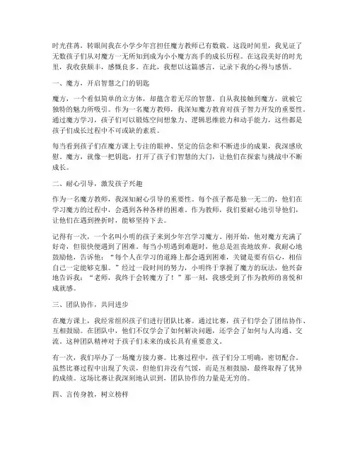 小学少年宫魔方教师感言