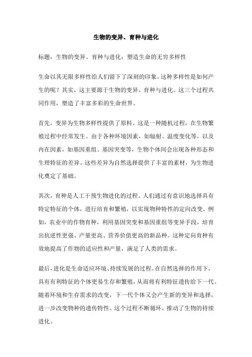 生物的变异、育种与进化