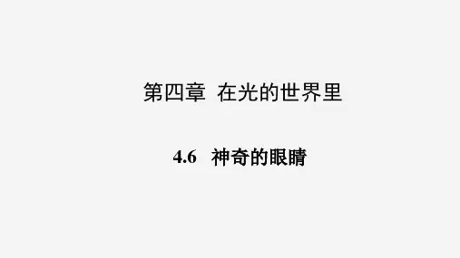 4.6 神奇的眼睛(课件)八年级上册物理(教科版)