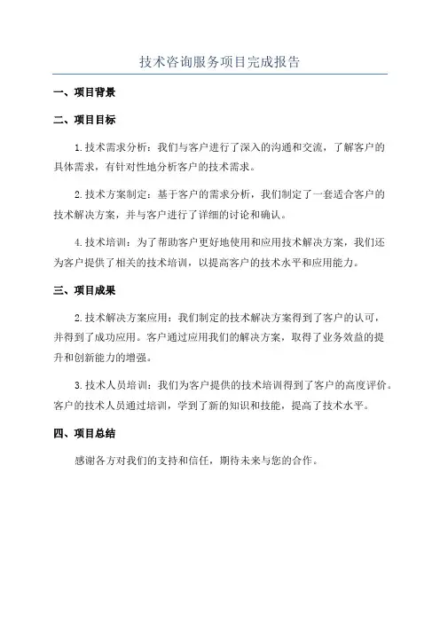 技术咨询服务项目完成报告