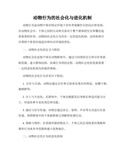 动物行为的社会化与进化机制