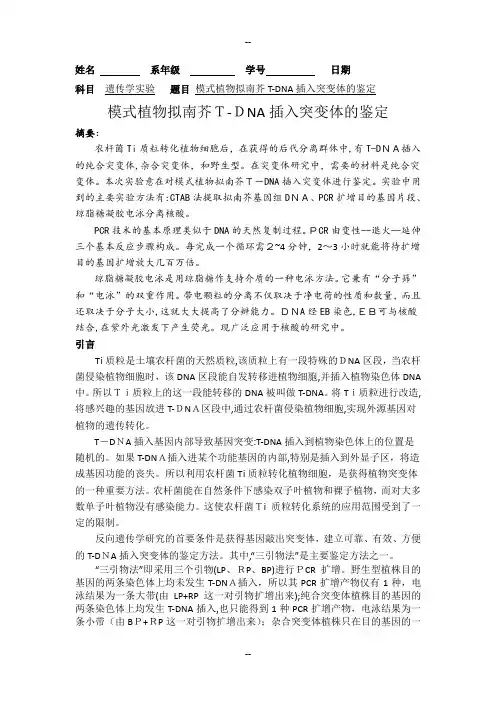 模式植物拟南芥T-DNA插入突变体的鉴定