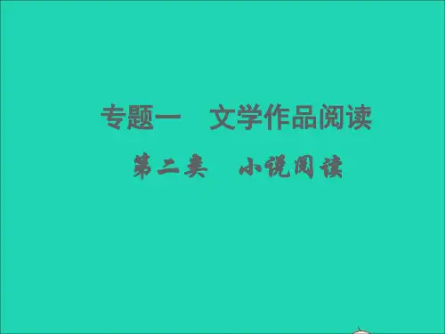 专题一第二类小说阅读(考点一二三四五六)