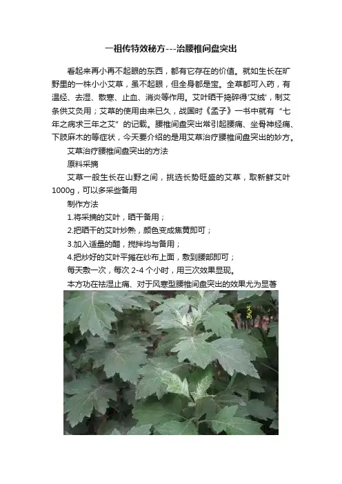 一祖传特效秘方---治腰椎间盘突出